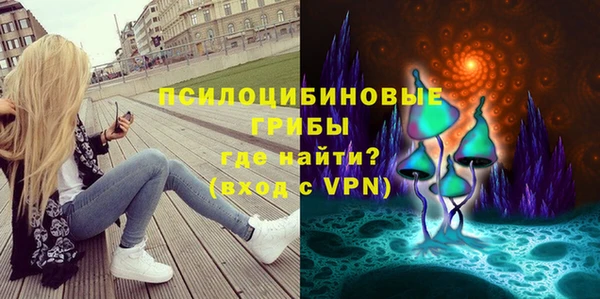 apvp Богданович