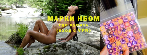 ешки Белокуриха