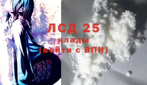 ешки Белокуриха