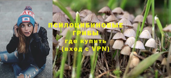 ешки Белокуриха