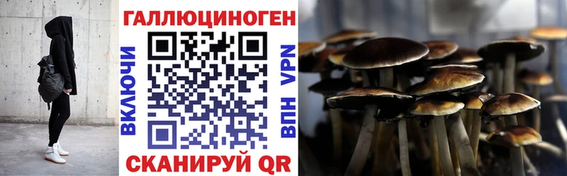 Галлюциногенные грибы ЛСД  цена наркотик  Циолковский 